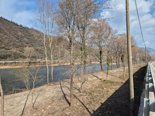 Die Pflege von Flussufern ist ein wesentlicher Bestandteil des Hochwasserschutzes. Durch gezielte Durchforstungen und regelmäßige Maßnahmen wird die Gefahr von Überschwemmungen verringert und gleichzeitig die ökologische Qualität der Gewässer erhalten. (Foto: LPA/Amt für Wildbach- und Lawinenverbauung Süd in der Agentur für Bevölkerungsschutz)