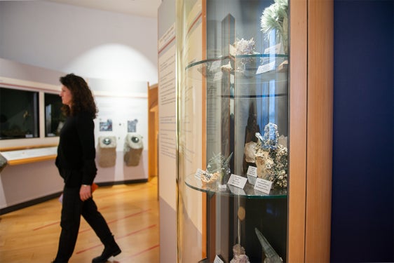 Il Museo di Scienze Naturali dell'Alto Adige cerca nuove risorse umane: è in corso un bando per un posto a tempo parziale e indeterminato (19 ore settimanali) per un ispettore tecnico/un'ispettrice tecnica (geologia) di VIII qualifica funzionale. (Foto: USP/Claudia Corrent)