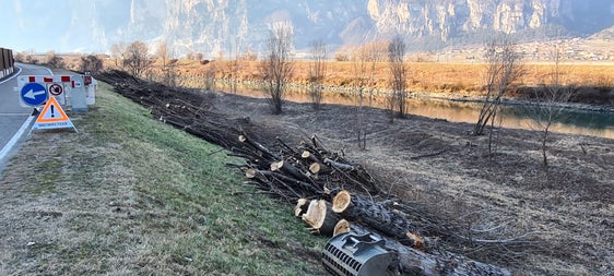 Die Arbeiter der Wildbachverbauung holzen im Zuge genau definierter Pflegearbeiten Jahr für Jahr zu hohe Bäume an Engstellen der Etsch und ihrer Seitenbäche und im Bereich von Brücken ab, dünnen zu dichten Pflanzenbewuchs aus und entfernen oft meterhohe Sandbänke. (Foto: LPA/Landesamt für Wildbach- und Lawinenverbauung Süd)