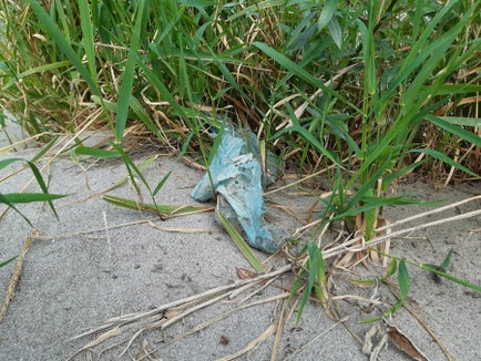 Un frammento di plastica abbandonato. In provincia di Bolzano il fenomeno da inquinamento da plastica viene costantemente monitorato dall'Agenzia provinciale per l'ambiente e la tutela del clima (Foto: ASP/APPA) 