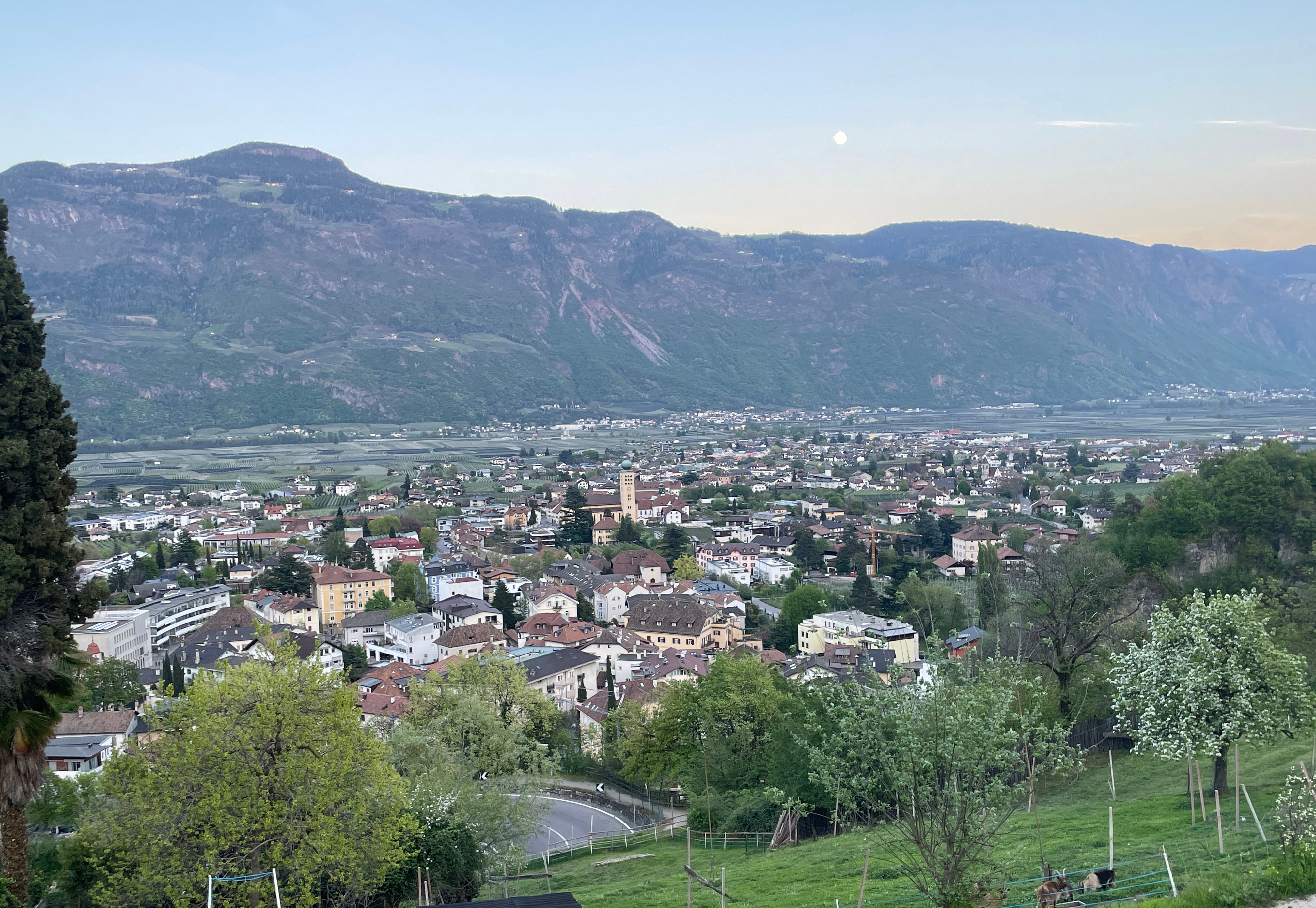 All'inizio e alla fine del mese di maggio il caldo l'ha fatta da padrone in Alto Adige, mentre nel resto del mese il clima è stato piovoso. L'immagine mostra Lana e la Valle dell'Adige all'inizio del mese di maggio. (Foto: USP/Carmen Kollmann)
