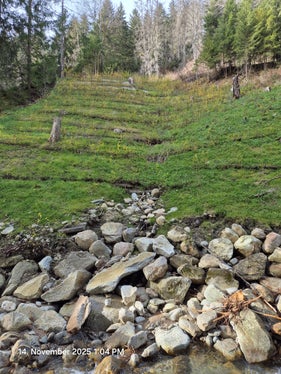 Archivbild: Das Amt für Wildbach- und Lawinenverbauung Ost hat die ingenieurbiologischen Maßnahmen nach der Rutschung nach Starkregen am Bacheinhang des Gruipbaches im Mai 2025 abgeschlossen; das Bild entstand während eines Kontrollgangs im November. (Foto: LPA/Amt für Wildbach- und Lawinenverbauung Ost in der Agentur für Bevölkerungsschutz)