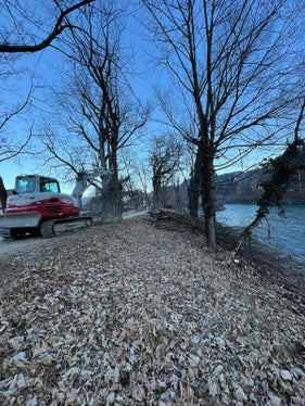 Eine regelmäßige Durchforstung und Pflege der Ufervegetation ist von grundlegender Bedeutung für den Hochwasserschutz; das Bild von heute entstand am Eisack in Brixen. (Foto: LPA/Landesamt für Wildbach- und Lawinenverbauung Nord)