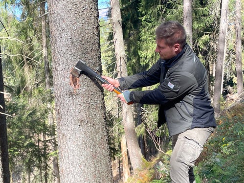 Bastian Gitzl schlägt mit der Axt die Borke weg. Darunter zeigen sich die Gänge, in denen sich die Borkenkäferlarven entwickeln. (Foto: LPA/G.News)