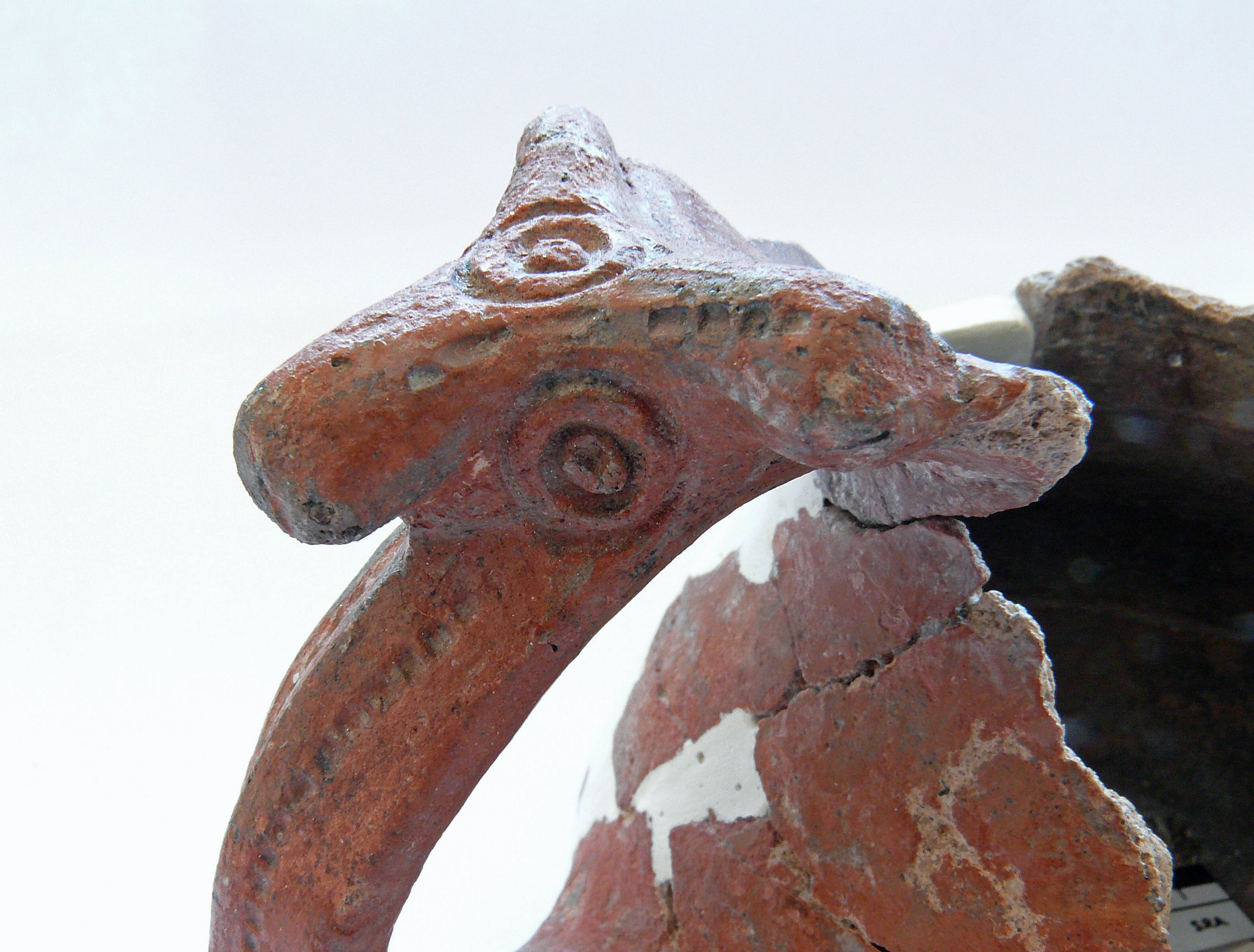 Brocca con manico a forma di testa di ariete (II secolo a.C.) (Foto: ASP/LDA)