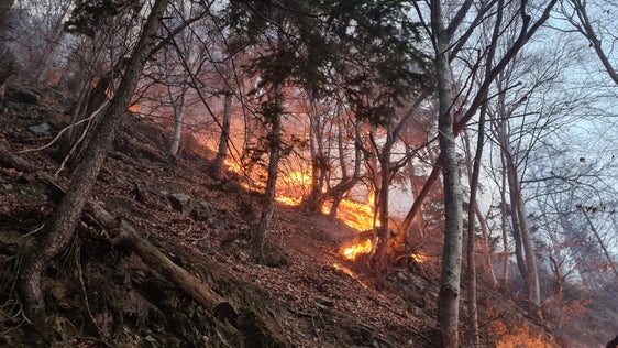 Nelle ultime settimane si sono verificati ripetutamente piccoli incendi boschivi causati da fulmini. In questi giorni il rischio di incendi boschivi sale al secondo livello di allerta più alto, ovvero l’arancione; la popolazione è quindi invitata a prestare maggiore attenzione ed avvisare immediatamente il numero di emergenza 112 qualora si avvistasse un incendio boschivo. (Foto d’archivio: Servizio Forestale Alto Adige)