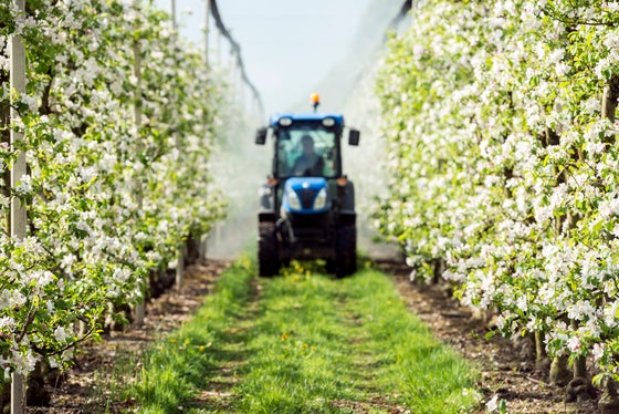 L’accesso ai prodotti fitosanitari sta diventando sempre più complesso a causa di regolamentazioni europee sempre più severe. (Foto: USP/Centro di Sperimentazione Laimburg/Ivo Corrà)