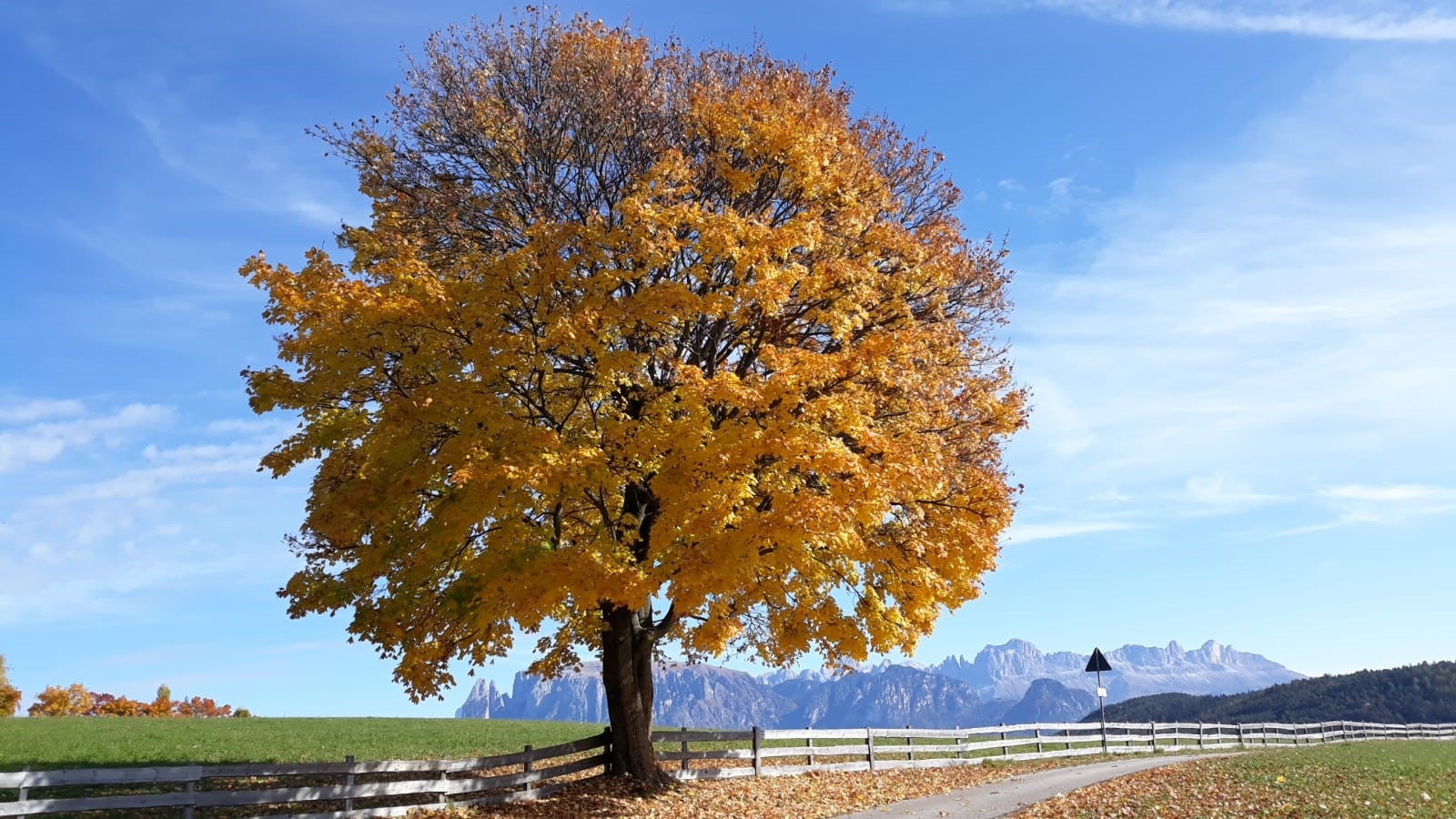 L'Ufficio meteorologia e prevenzione valanghe della Provincia ha riferito che nel mese di ottobre la temperatura e diminuita di 0,5° rispetto alla media a lungo termine. (Foto: ASP/Maja Clara)