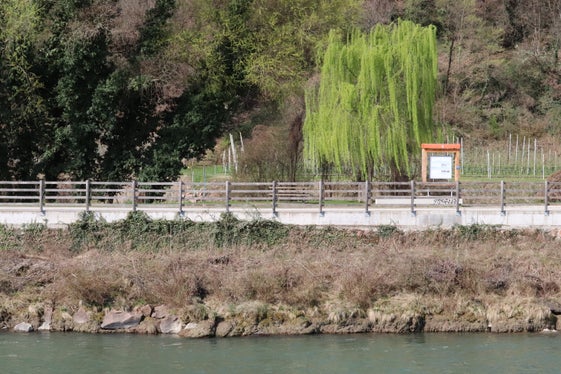 Gegenüber der Pegelstation in Bozen-Süd, auf der orografisch rechten Seite des Eisacks, wurde entlang des Radwegs ein Infopoint mit Sitzgelegenheit errichtet. (Foto: LPA/Maja Cara)