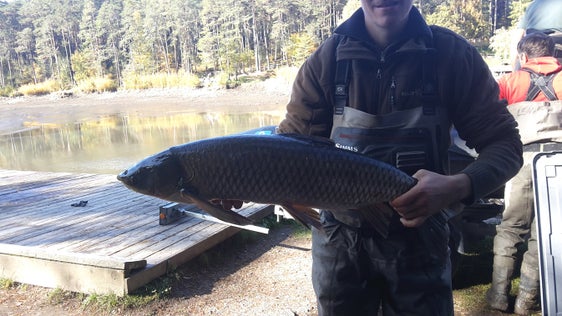 Eingriff in die Nahrungskette zum Schutz des Sees: Biomanipulation am Völser Weiher. (Foto: Landesagentur für Umwelt- und Klimaschutz)