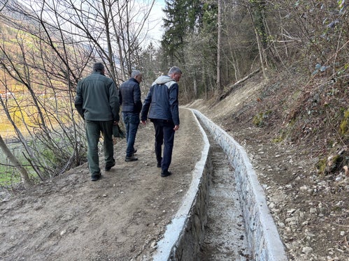 Forstwirtschaftslandesrat Luis Walcher während des Lokalaugenscheins beim Maiser Neuwaal. (Foto: LPA/Ressort Landwirtschaft, Forstwirtschaft und Tourismus/Sabine Pitscheider)