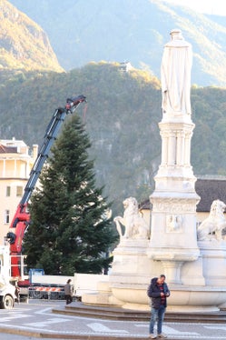 Angekommen: Etwa eine Dreiviertelstunde nach der Ankunft auf dem Waltherplatz steht der diesjährige Christbaum fest verankert. (Foto: LPA/Maja Clara)