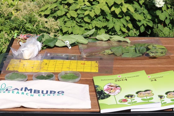 Einblick in Forschungsobjekte des Versuchszentrums Laimburg, etwa der Goldgelben Vergilbung, bei der Pressekonferenz zur Vorstellung des Agrar- & Forstberichts 2024 am 25. Juni auf dem Weingut Schmid Oberrautner in Bozen-Gries. (Foto: LPA/Maja Clara)