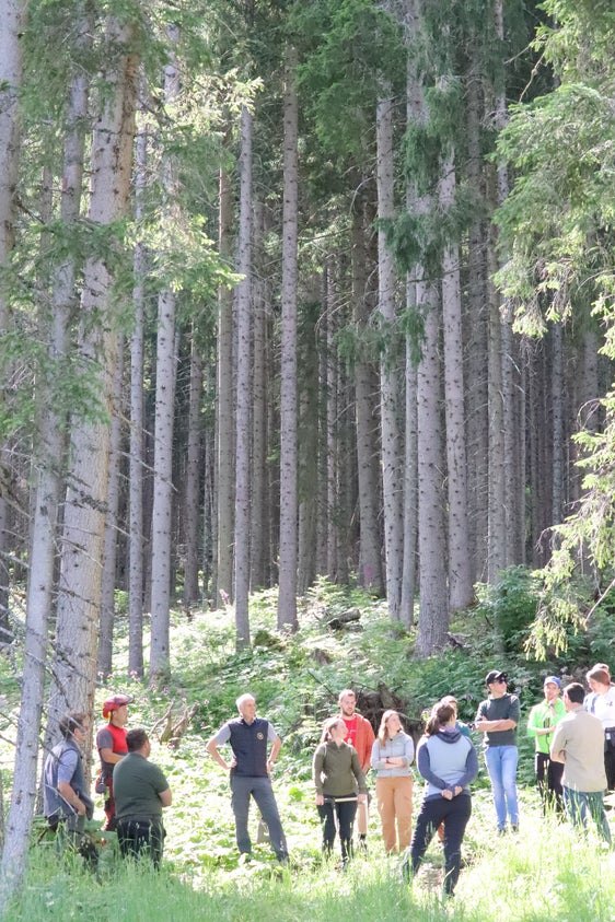 Vorbereitung auf die waldpädagogische Baumfällung mit Abmessungen und Berechnungen: Wo wird die Spitze hinfallen? (Foto: LPA/Maja Clara)
