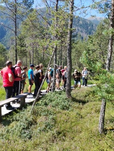 Nicht fehlen darf im Sommer das Thema Pilze. Dazu gibt es Wanderungen mit Fachleuten. (Foto: LPA/Landesamt für Natur/Barbara Braunhofer)