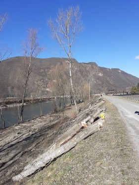 Regelmäßig durchgeführte Uferpflegearbeiten sind für den Hochwasserschutz unabdingbar. (Foto: LPA/Landesamt für Wildbach- und Lawinenverbauung Süd)