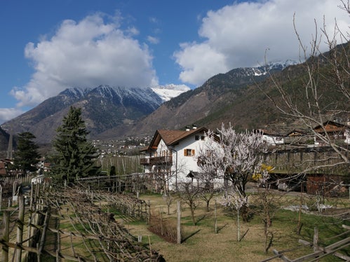 Bild des Monats März 2026: Algund mit Zielspitze (Foto: LPA/Martin Geier)