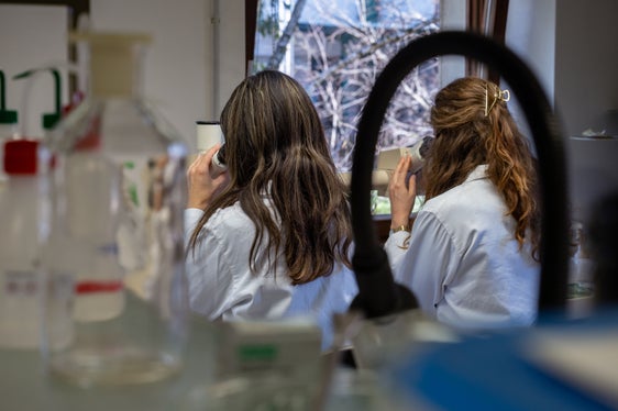 Previsioni, rapporti e calendari pollinici: le informazioni fornite dal Servizio di informazione pollinica sono ampie. Nella foto Veronika Kofler e Magdalena Widmann al lavoro. (Foto: USP/Greta Stuefer)