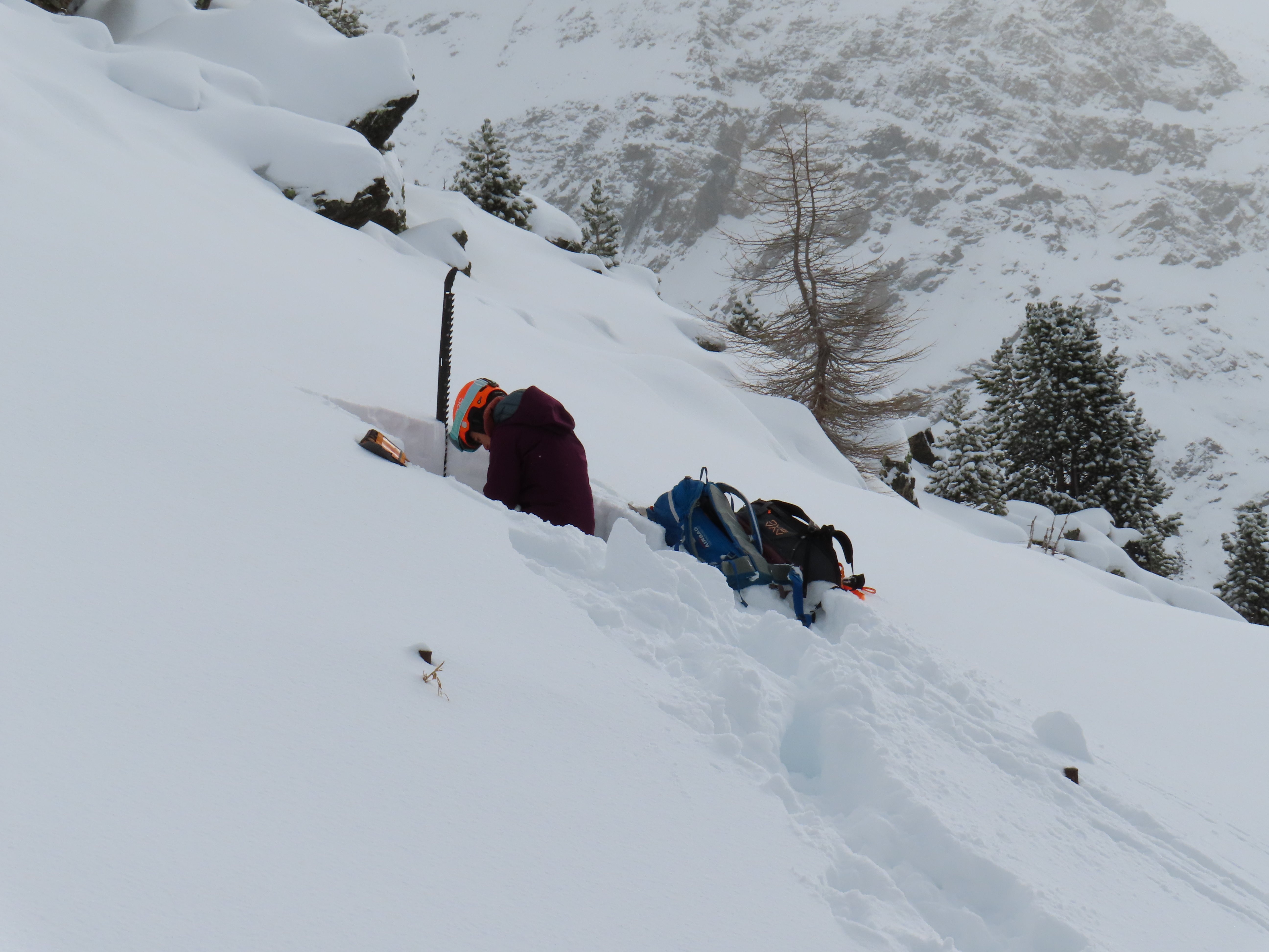 Mitarbeiterin und Mitarbeiter des Lawinenwarndienstes bei Schneedeckenuntersuchungen im Gelände; das Bild entstand am 25. November in Sulden. (Foto: LPA/Landesamt für Meteorologie und Lawinenwarnung in der Agentur für Bevölkerungsschutz)
