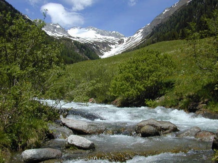 Definisce l'orientamento sostenibile della pesca in Alto Adige: la nuova legge sulla pesca è stata approvata all'unanimità dal Consiglio provinciale. (Foto: ASP/Ufficio provinciale Caccia e pesca)