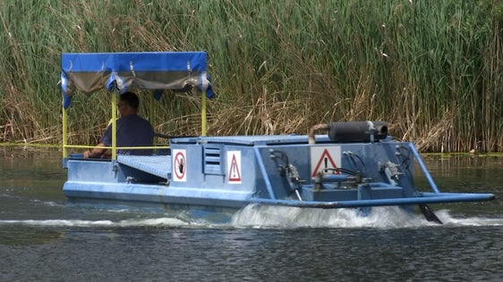 Le piante acquatiche vengono rimosse con una speciale barca falciatrice per eliminare dal lago i nutrienti che intorbidiscono l'acqua. L'immagine mostra il lavoro di sfalcio al laghetto di Fiè. (Foto: ASP/Laboratorio Biologico)