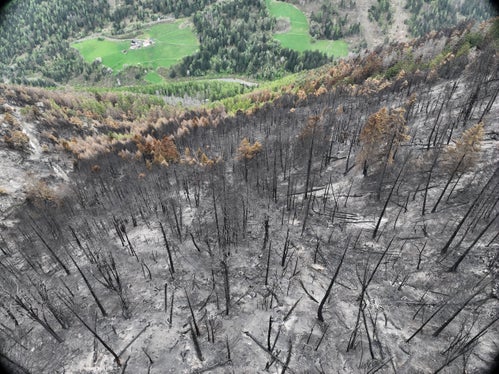 Dal 10 aprile, oltre 140 ettari di bosco sono stati devastati dalle fiamme nel territorio dei Comuni di Prato allo Stelvio e Stelvio. Il Servizio forestale provinciale, in accordo con i proprietari dei terreni e i Comuni interessati, ha elaborato un piano di interventi a breve e medio termine. (Foto: USP/Ispettorato forestale di Silandro)