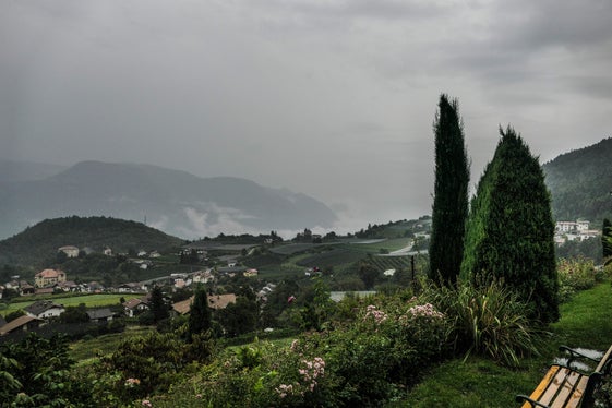 Bild des Monats August 2025: Prissian (Foto: LPA/Martin Geier)