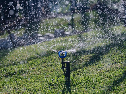 Das Ständige Observatorium für die Wassernutzung in den Ostalpen hat die mittlere Notstandsstufe für Südtirol angesichts der anhaltenden Trockenheit bestätigt. (Foto: Pexels.Das Foto darf nur in Zusammenhang mit dieser Pressemitteilung verwendet werden.)