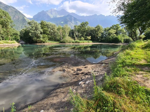 Der Ausbreitung invasiver gebietsfremder Arten gilt es entgegenzuwirken. Im Bild die invasive Wasserpflanze Elodea Nuttallii im Rablander Weiher vor Beginn der Arbeiten. (Foto: LPA/Landesamt für Wildbach- und Lawinenverbauung West in der Agentur für Bevölkerungsschutz)