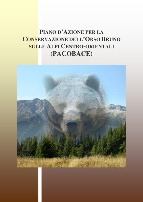 La Giunta ha deciso oggi di estendere la competenza del Gruppo operativo per gli orsi a tutti i grandi predatori (Foto: ASP/Ufficio Gestione fauna selvatica)