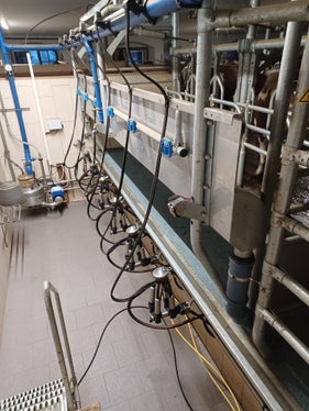 Aumentano i contributi per la meccanizzazione interna delle aziende agricole. Essi comprendono sovvenzioni per i sistemi di mungitura (nella foto), la ventilazione del fieno e i sistemi di rimozione del letame. (Foto: USP/Ufficio Meccanizzazione agricola e produzione biologica/Martin Stuppner)