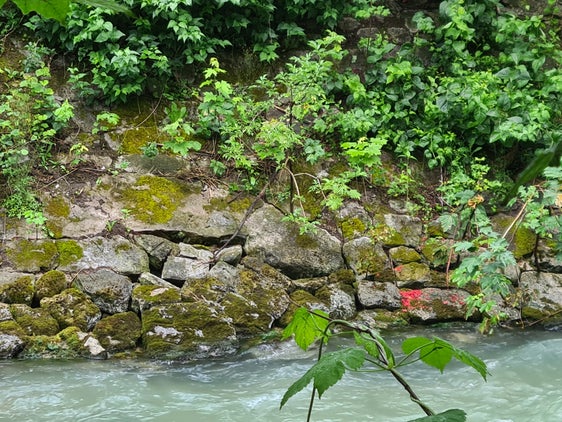 Das Landesamt für Wildbach- und Lawinenverbauung Ost beginnt Anfang Februar mit den Arbeiten zur Instandsetzung der brüchigen Ufermauer an der orographisch rechten Seite der Rienz zwischen der Waldebrücke und der Brücke Kapuzinerplatz/Graben in Bruneck (im Bild), dafür muss Gehölz in unmittelbarer Nähe der Ufermauer entfernt werden. (Foto: LPA/Landesamt für Wildbach- und Lawinenverbauung Ost in der Agentur für Bevölkerungsschutz)