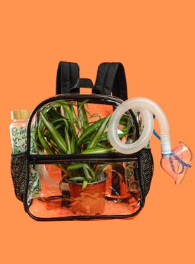 Schülerin Hannah Eppacher erklärte den Rucksack mit dem geschlossenen Ökosystem. (Foto: Ingrid Heiss)