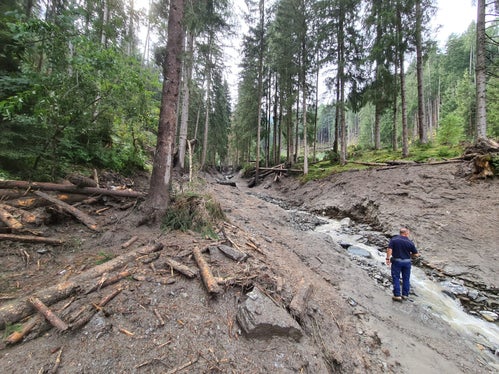 Il rio Aderer evidenzia  gravi danni da erosione. (Foto: ASP/Ufficio sistemazione bacoini montani Est dell'Agenzia per la Protezione civile)