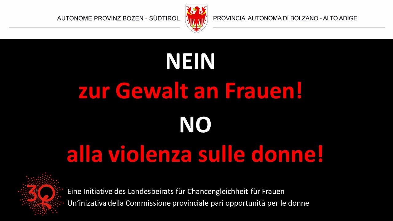 Das Plakat des Landesbeirates für ein Nein zur Gewalt an Frauen