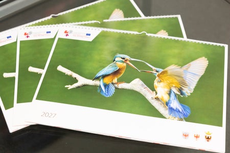 Il calendario Euregio 2027 in formato calendario da parete (Foto: Land Tirol/Sedlak)