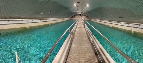 Wasserspeicher in Bozen: Die Qualität und Quantität des Grundwassers in Südtirol ist an allen 65 Beobachtungspunkten gut, bestätigt die Landesagentur für Umwelt und Klimaschutz. (Foto: LPA/Gnews)