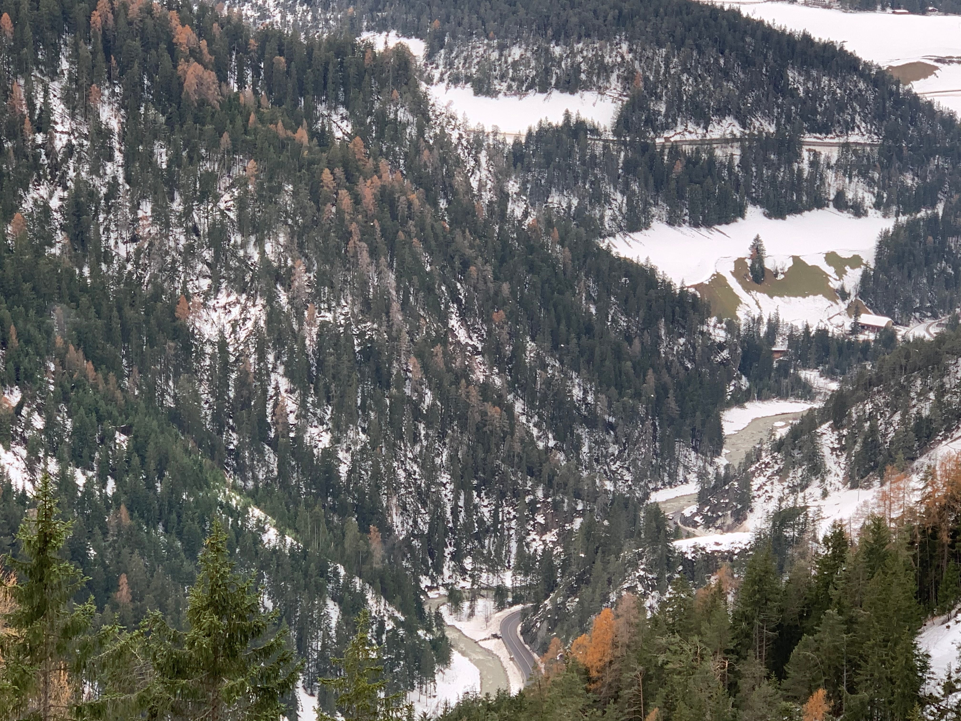 La foresta di montagna funge da protezione dell'habitat e migliora la qualità di vita della popolazione (Foto: ASP/ Ufficio economia forestale)