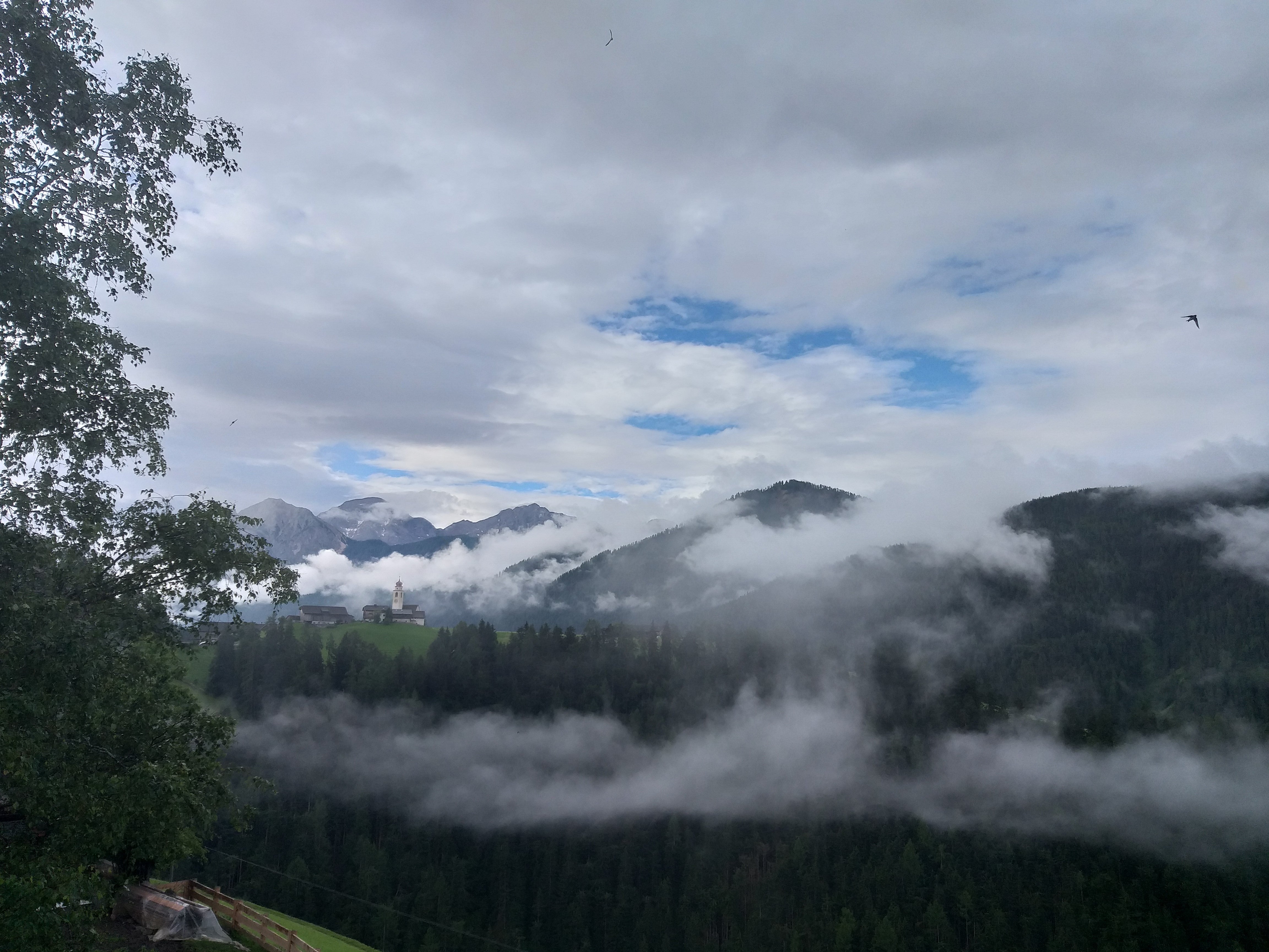 Juli am Berg: im Bild der Blick von Enneberg-Pfarre, La Pli de Mareo, auf den Weiler Curt, Hof, am Sonntag, 18. Juli, in der Früh. (Foto: LPA/Maja Clara)