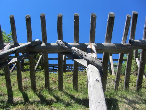Schneerechen halten Lawinen von Infrastrukturen fern - auch sie können im Zuge von Eigenregiearbeiten errichtet werden. (Foto: LPA/Abteilung Forstdienst)
