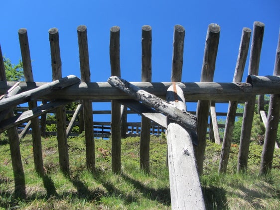 Schneerechen halten Lawinen von Infrastrukturen fern - auch sie können im Zuge von Eigenregiearbeiten errichtet werden. (Foto: LPA/Abteilung Forstdienst)
