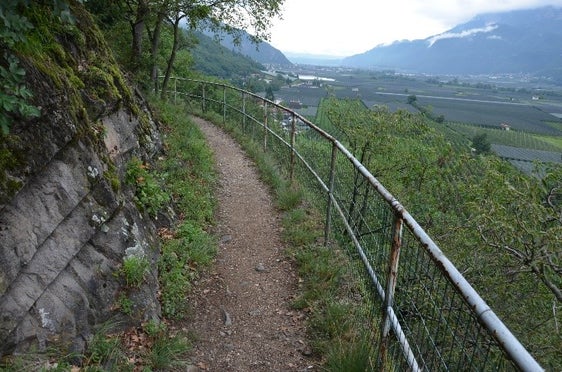 La Giunta ha approvato il capitolato d’oneri ed il prezziario 2022 per il noleggio di mezzi d’opera per l’esecuzione dei lavori in amministrazione diretta della Ripartizione foreste&nbsp;(Foto: ASP/Ufficio economia montana) 