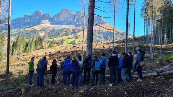 Exkursion zum Karerpass: Mitglieder der beiden Arbeitsgruppen des 35. Planalp-Meetings und des 14. Eusalp AG8-Meetings beim Lokalaugenschein der vom Sturm Vaia vor bald drei Jahren verursachten Schäden. (Foto: LPA)
