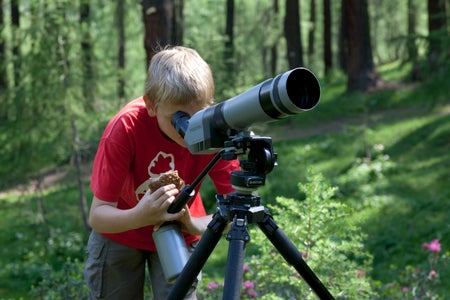 In vielen Naturparks stehen Wildtierbeobachtungen auf dem Programm, wo mit Stativ ausgestattete Ranger interessierten Passanten verschiedene Tiere zeigen. (Foto: LPA/Landesamt für Natur/Josef Hackhofer)