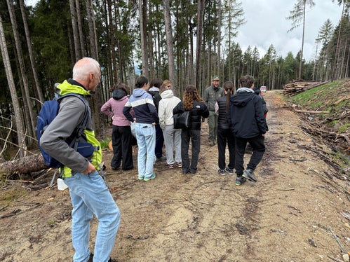 Alberi per il futuro: l'iniziativa di messa a dimora è stata preparata con cura e realizzata con il sostegno della Stazione forestale di Brunico. (USP/Stazione forestale di Brunico)