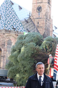 Kurz aus der nahegelegenen Landtagssitzung entfernt hat sich Forstwirtschaftslandesrat Luis Walcher, um bei der Ankunft des Christbaums auf dem Waltherplatz vorbeizuschauen. (Foto: LPA/Maja Clara)