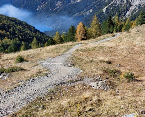 Im Zuge der Instandhaltungsarbeiten wurde  im Sommer 2022 auch der Wanderweg Nr. 11 vom Antholzer See zum Staller Sattel saniert. (Foto: Forstinspektorat Welsberg)