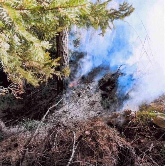 Waldbrände können langfristige Schäden an Waldökosystemen verursachen, deshalb gilt es, fahrlässiges Verhalten zu vermeiden, das einen Waldbrand auslösen kann. (Foto: LPA/Landesamt für Forstplanung)