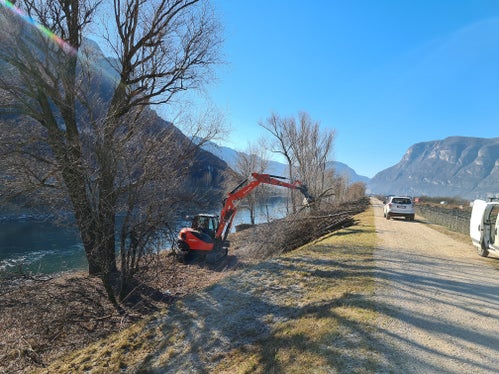 Diverse squadre dell'Ufficio Sistemazione bacini montani sud stanno diradando i boschi ripariali lungo i fiumi Adige e Isarco per mantenere la vegetazione giovane e resistente.(Foto: USP/Ufficio Sistemazione bacini montani sud)