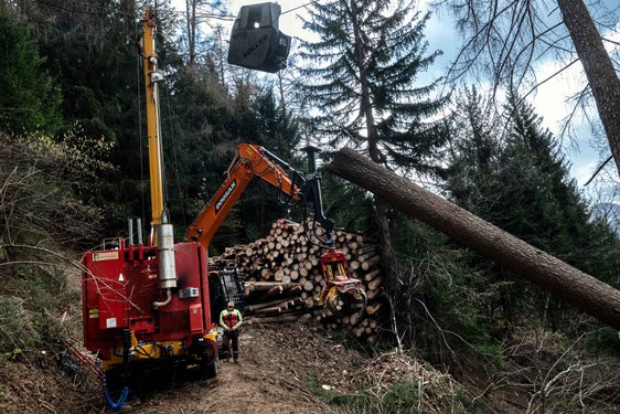 Arbeiten im Wald ist gefährlich und eine logistische Herausforderung. Eine einheitliche Lösung für den Abtransport und den Vertrieb des Holzes wird gesucht. (Foto: LPA/Ivo Corrá)